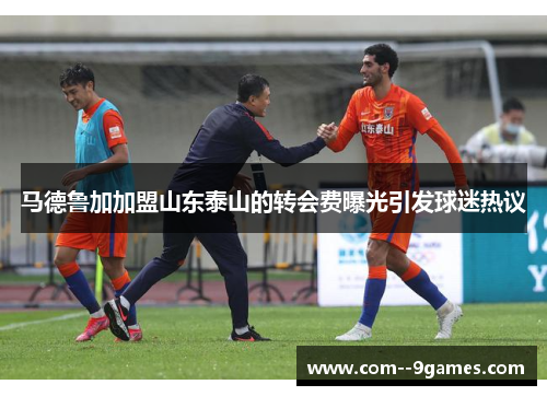 马德鲁加加盟山东泰山的转会费曝光引发球迷热议