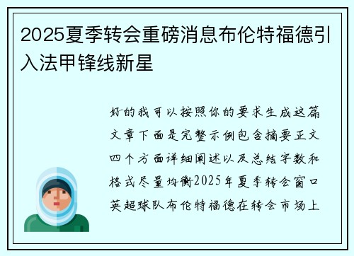 2025夏季转会重磅消息布伦特福德引入法甲锋线新星