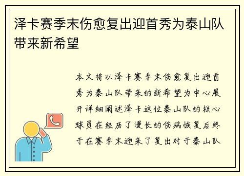 泽卡赛季末伤愈复出迎首秀为泰山队带来新希望 泽卡赛季末伤愈复出迎首秀为泰山队带来新希望